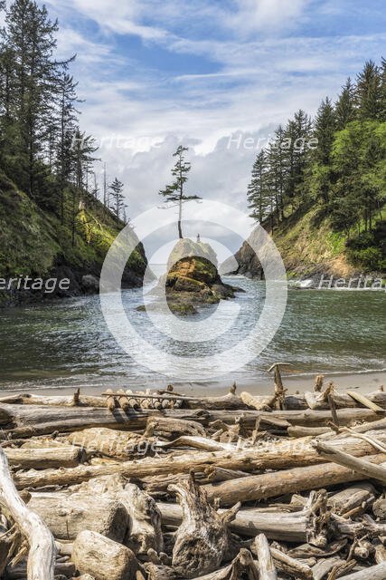 Dead Man's Cove. Creator: Joshua Johnston.