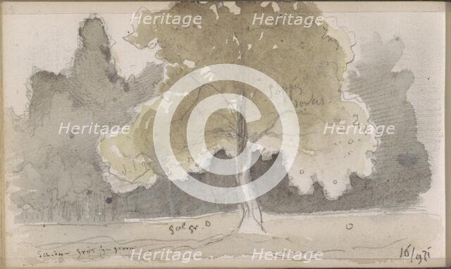 Forest with a field with a tree in the foreground, 1871. Creator: Johannes Tavenraat.