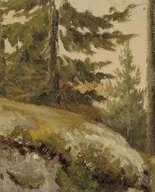 Metsännyplä, sketch, (forest, sketch),  c1890s. Creator: Albert Edelfelt.