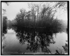 Deep Creek, Florida, between 1880 and 1897. Creator: William H. Jackson.