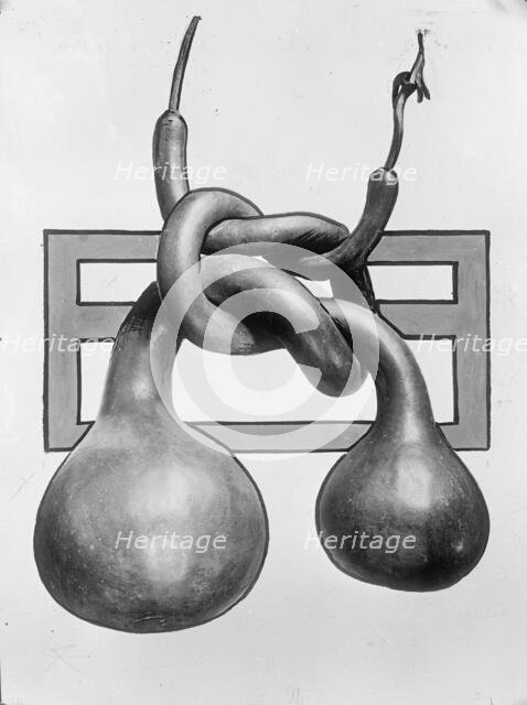 Chinese Gourds, 1913. Creator: Harris & Ewing.