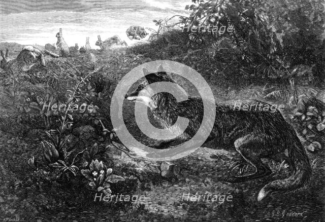 "Gambols Disturbed," by G. B. Goddard, 1870. Creator: Horace Harral.