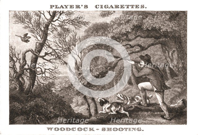 'Woodcock-Shooting', (1924). Creator: Unknown.