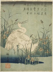 White herons and iris, c. 1830s. Creator: Ando Hiroshige.