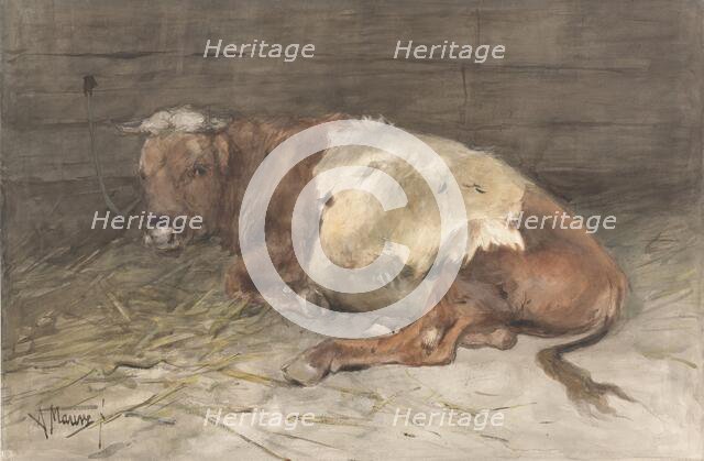 Steer lying down, 1848-1888. Creator: Anton Mauve.
