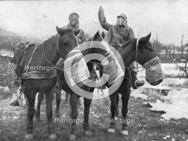 'Les precautions contre les gaz; Les chevaux ont aussi leur appareil special', 1917. Creator: Unknown.