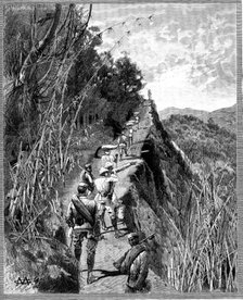 With the Lushai Expedition: coolies carrying bags of rice up a mountain path, 1890. Creator: R. Taylor.