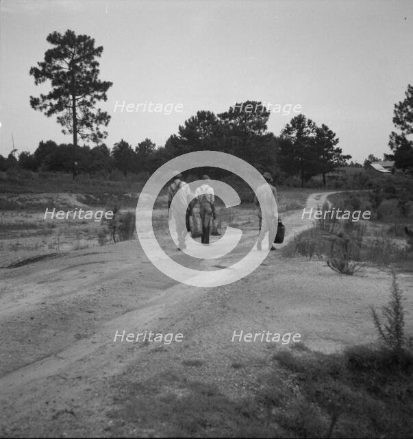 Three turpentine "dippers", Georgia, 1937. Creator: Dorothea Lange.