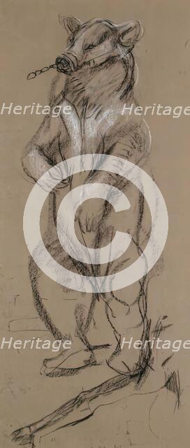 Study Of A Bear. Creator: John MacAllan Swan.