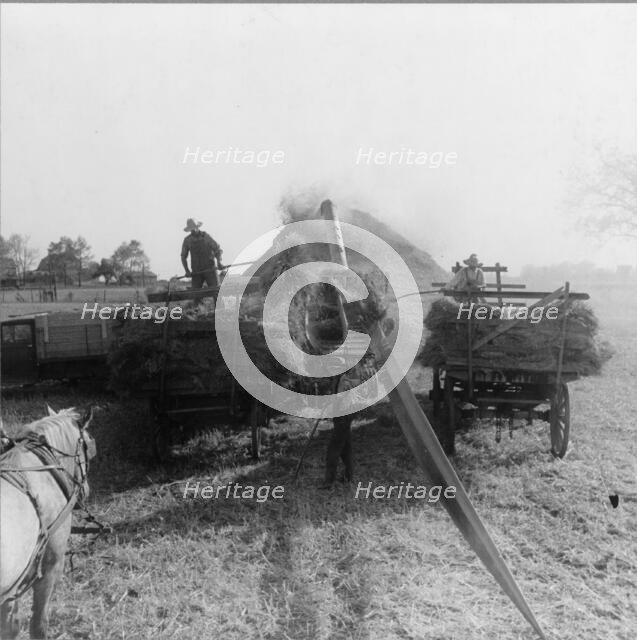 The threshing of oats, Clayton, Indiana, south of Indianapolis, 1936. Creator: Dorothea Lange.