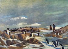 'Return of the Penguins', c1908, (1909).  Artist: George Marston.