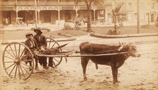 [A boy and a young man sitting on a cow-driven cart in muddy street], c1890-c1899. Creator: Unknown.