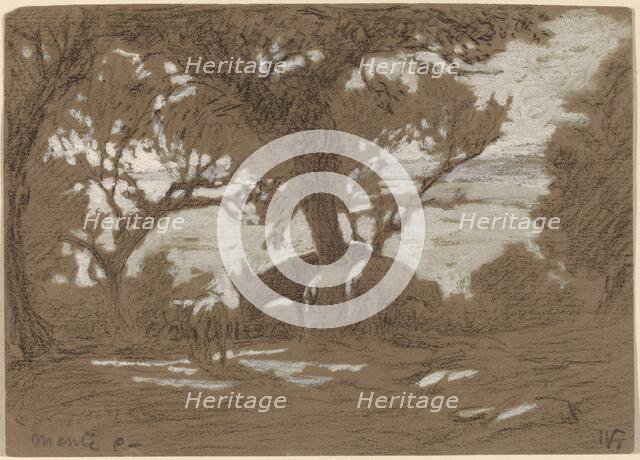 Mt. Colognola - Sheep Grazing on Lake Trasimeno, c. 1878. Creator: Elihu Vedder.