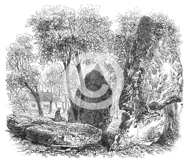 The British Association at Bath: Druidical stones in an orchard at Stanton Drew, 1864. Creator: Unknown.