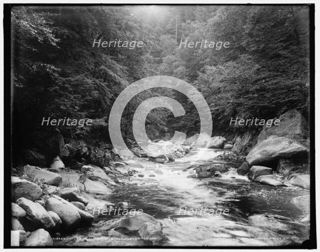 Outlet of Clarendon Gorge, Green Mountains, between 1900 and 1906. Creator: Unknown.