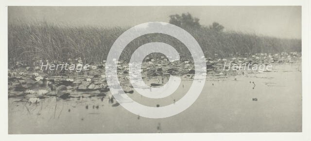 Water-Lilies, 1886. Creator: Peter Henry Emerson.