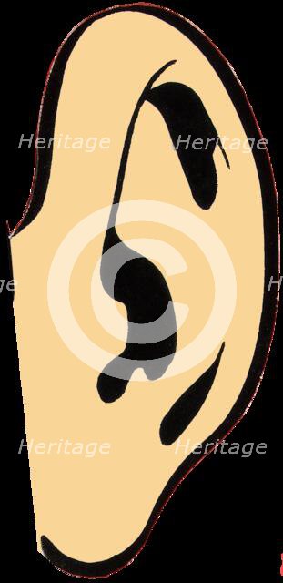 Ear detail from Anti-rumour and careless talk 'Mr. Hitler...' WWII poster, between 1939 and 1946.  Creators: Central Office of Information, Unknown.