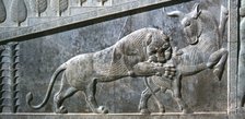 Relief of a bull being attacked by a lion, the Apadana, Persepolis, Iran