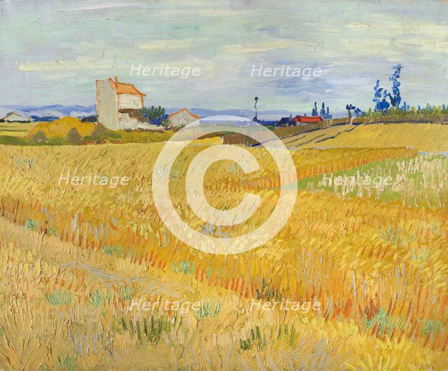 Wheat Field (Champ de blé), 1888.
