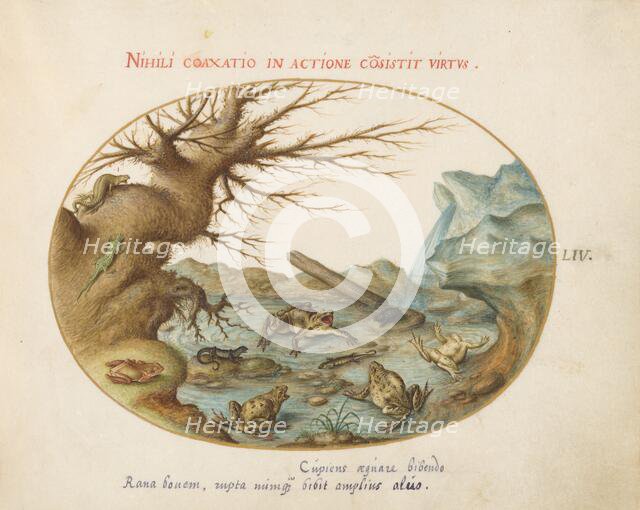 Animalia Qvadrvpedia et Reptilia (Terra): Plate LIV, c. 1575/1580. Creator: Joris Hoefnagel.