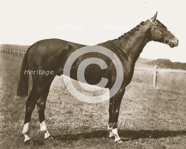 Weathercock, 1911.  Creator: Unknown.