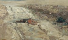 Scene from the 1870 war: dead soldier on a battlefield, c1870. Creator: Guillaume Urban Regamey.