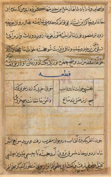 Page from Tales of a Parrot (Tuti-nama): text page, c. 1560. Creator: Unknown.