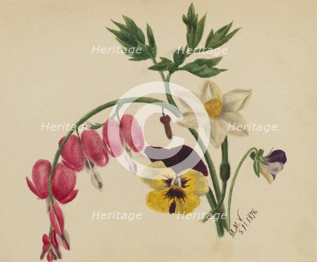 (Untitled--Mixed Flowers), 1876. Creator: Mary Vaux Walcott.