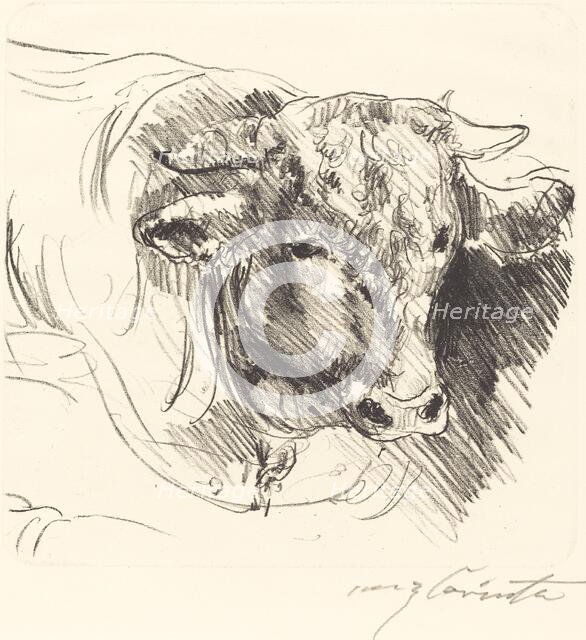 Stierkopf (Head of a Steer), 1912. Creator: Lovis Corinth.