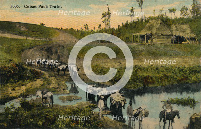 'Cuban Pack Train', c1910. Artist: Unknown.
