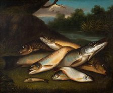Fish, 1790. Creator: Moses Haughton.