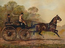 'Single Harness Phaeton Horse "Columbine". Property of Charles Baynes Esq., 1872', c1879 Creator: Unknown.
