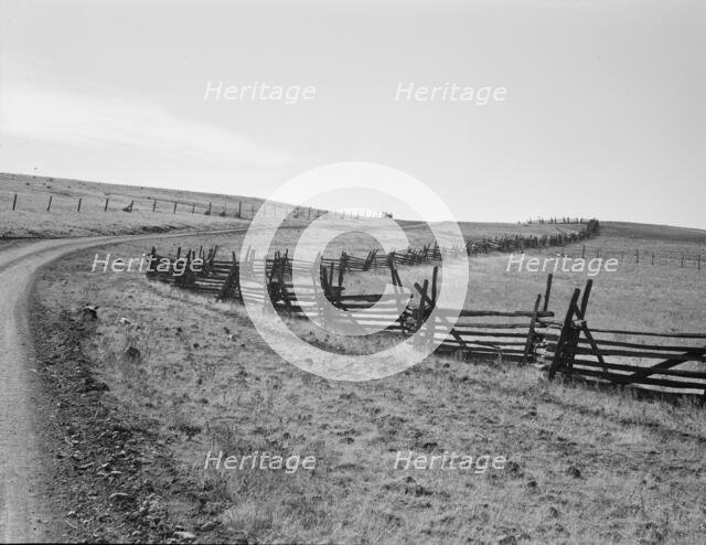 Road going up Squaw Creek Valley, leaving Ola, Ola self-help sawmill co-op, Gem County, Idaho, 1939. Creator: Dorothea Lange.
