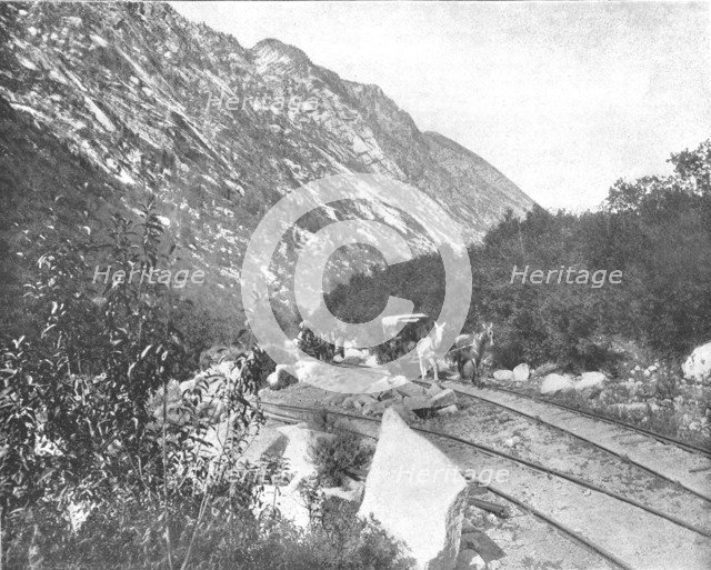Cottonwood Canyon, Utah, USA, c1900.  Creator: Unknown.