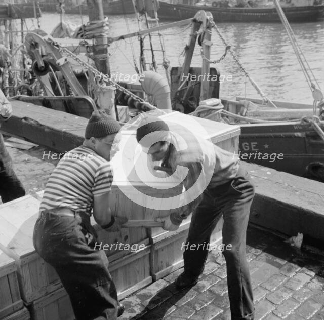 Loaders placing fish that has been taken from boats, boxed, and iced, aboard..., New York, 1943. Creator: Gordon Parks.