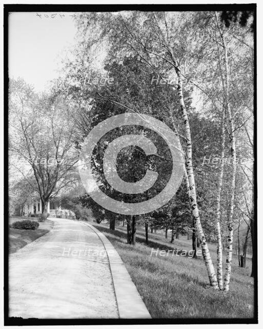 Driveway, Walnut Hills, Cincinnati, Ohio, between 1900 and 1910. Creator: Unknown.
