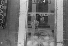 A shop window, 61st Street between 1st and 3rd Avenues, New York, 1938. Creator: Walker Evans.
