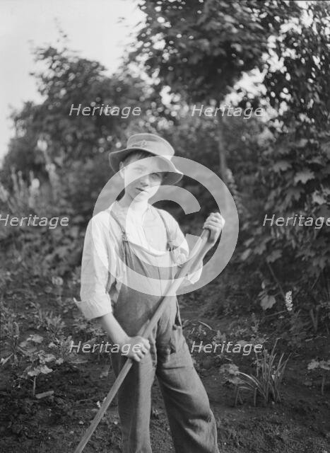 Boy in the gardens of the National Cash Register Company, Dayton, Ohio, between 1896 and 1942. Creator: Arnold Genthe.