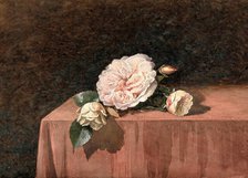Rose flowers on a table. Creator: Unknown.