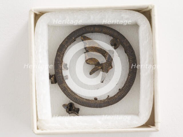 Ornament: dragonfly (in fragments), Goryeo period, 12th-13th century. Creator: Unknown.