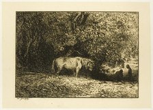 Horse in a Wood, 1846. Creator: Charles Emile Jacque.