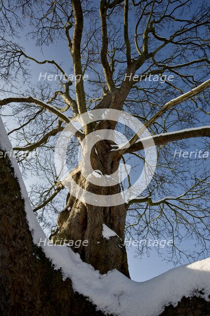Eltham Palace, Court Yard, Eltham, Greenwich, London, 2009. Creator: Derek Kendall.