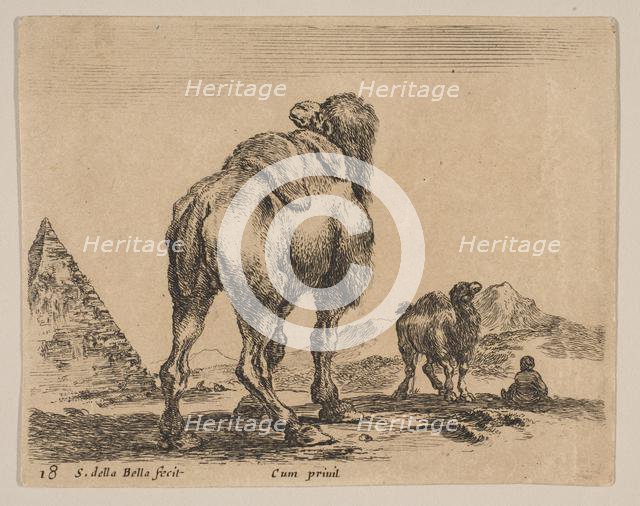 Plate 18: camel viewed from behind with pyramid at left, from 'Various animals' (Diver..., ca. 1641. Creator: Stefano della Bella.