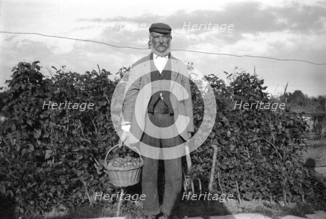 Harry Richards, Curry Rivel, Somerset, 1904-1909. Artist: Cecil Sharp