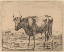 Bull Standing in Water, c. 1657/1659. Creator: Adriaen van de Velde.