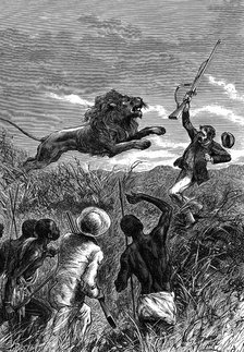 David Livingstone, Scottish missionary and African explorer, being charged by a lion, c1860. Artist: Unknown