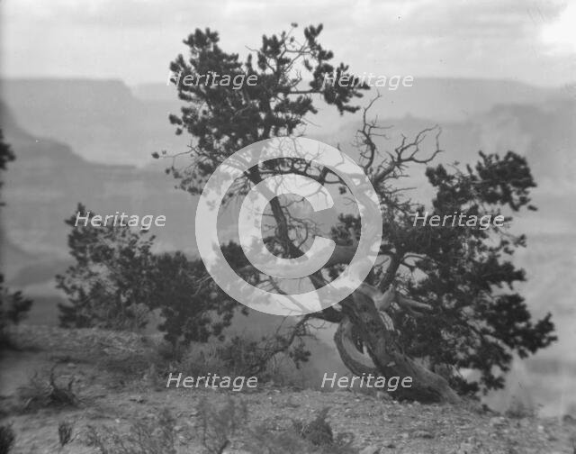 Grand Canyon, Arizona, between 1899 and 1928. Creator: Arnold Genthe.