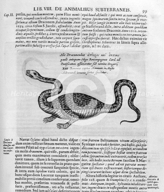 Small dragon, 1678. Artist: Athanasius Kircher