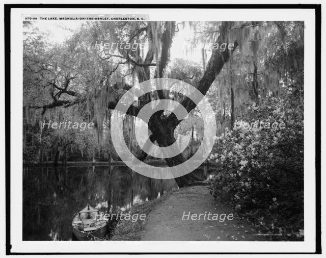 The Lake, Magnolia-on-the-Ashley, Charleston, S.C., c1907. Creator: Unknown.