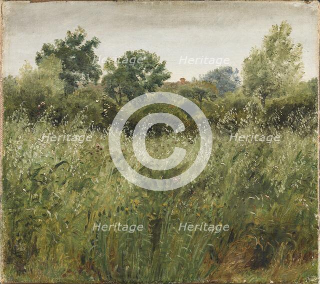 Field of Oats near Vejby, 1843. Creator: Peter Christian Thamsen Skovgaard.